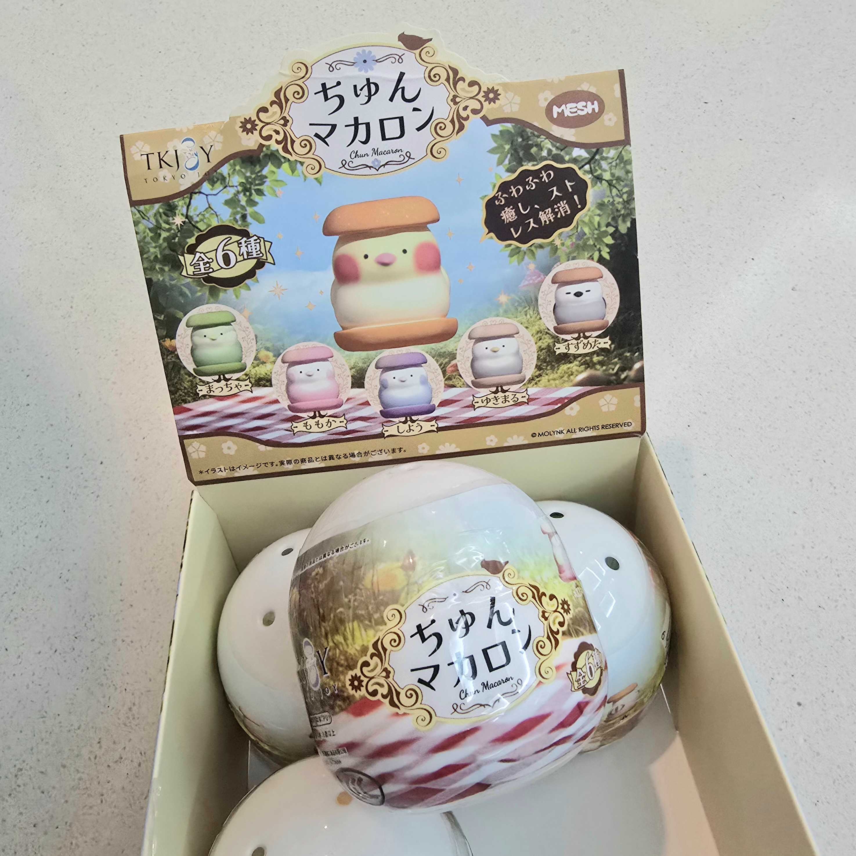 Molynk - สกุชชี่นกมาการอง (กาชาปองสุ่มสี - พร้อมส่ง)