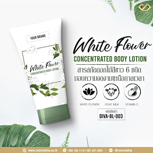 DIVA-BL-003 White flower Concentrated Body Lotion