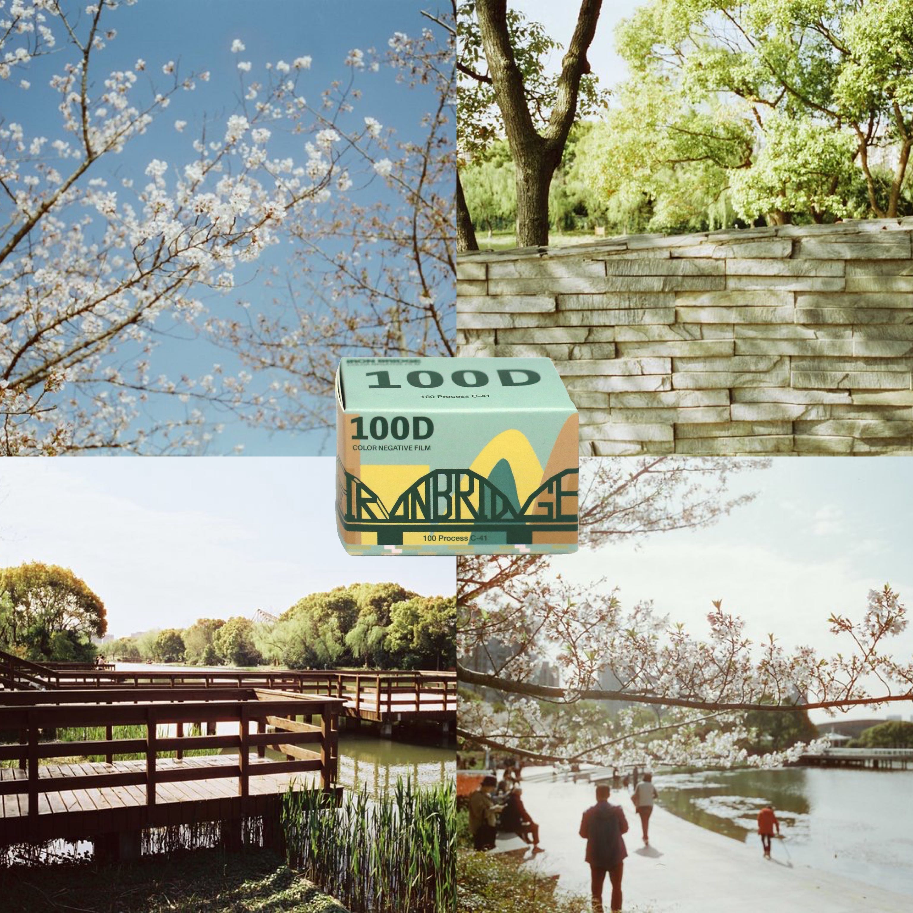 ฟิล์ม IRON BRIDGE 100D (36รูป)