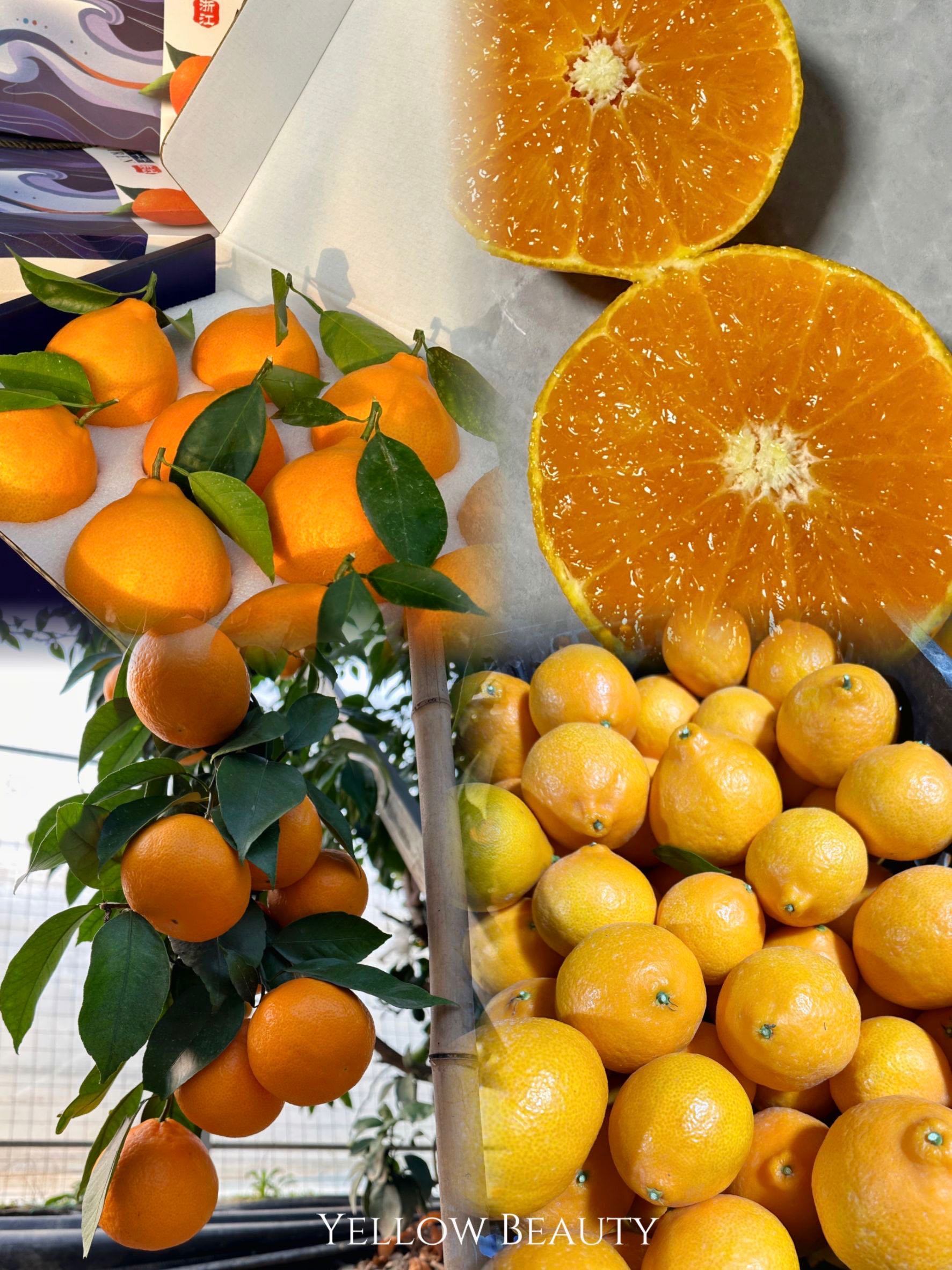 Orange Yellow Beauty