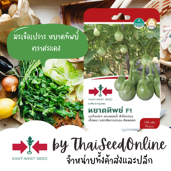 GGEW เมล็ดพันธุ์ซฟ มะเขือเปราะลูกผสมหยาดทิพย์ 150 เมล็ด ตราศรแดง Round Eggplant