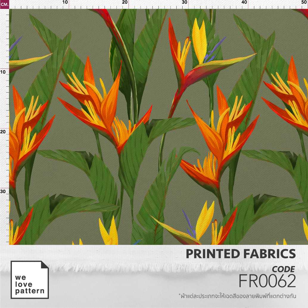 รหัสลาย : FR0062