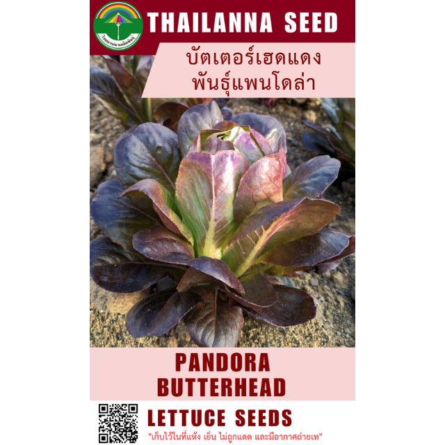 บัตเตอร์เฮดแดง พันธุ์แพนโดล่า ( ขนาด 5 กรัม ) รหัสสินค้า 1015