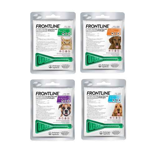 (1หลอด) Frontline Plus สำหรับสุนัขและแมว ป้องกันเห็บหมัด ไข่หมััด