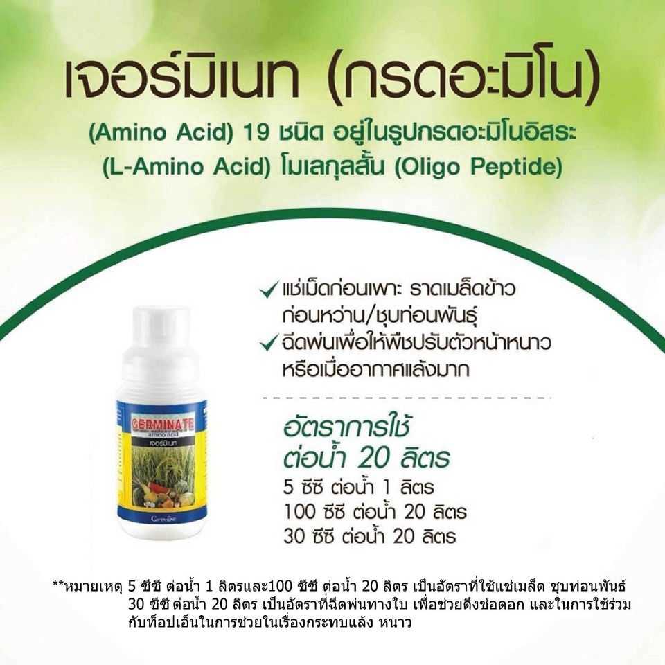 เจอร์มิเนท