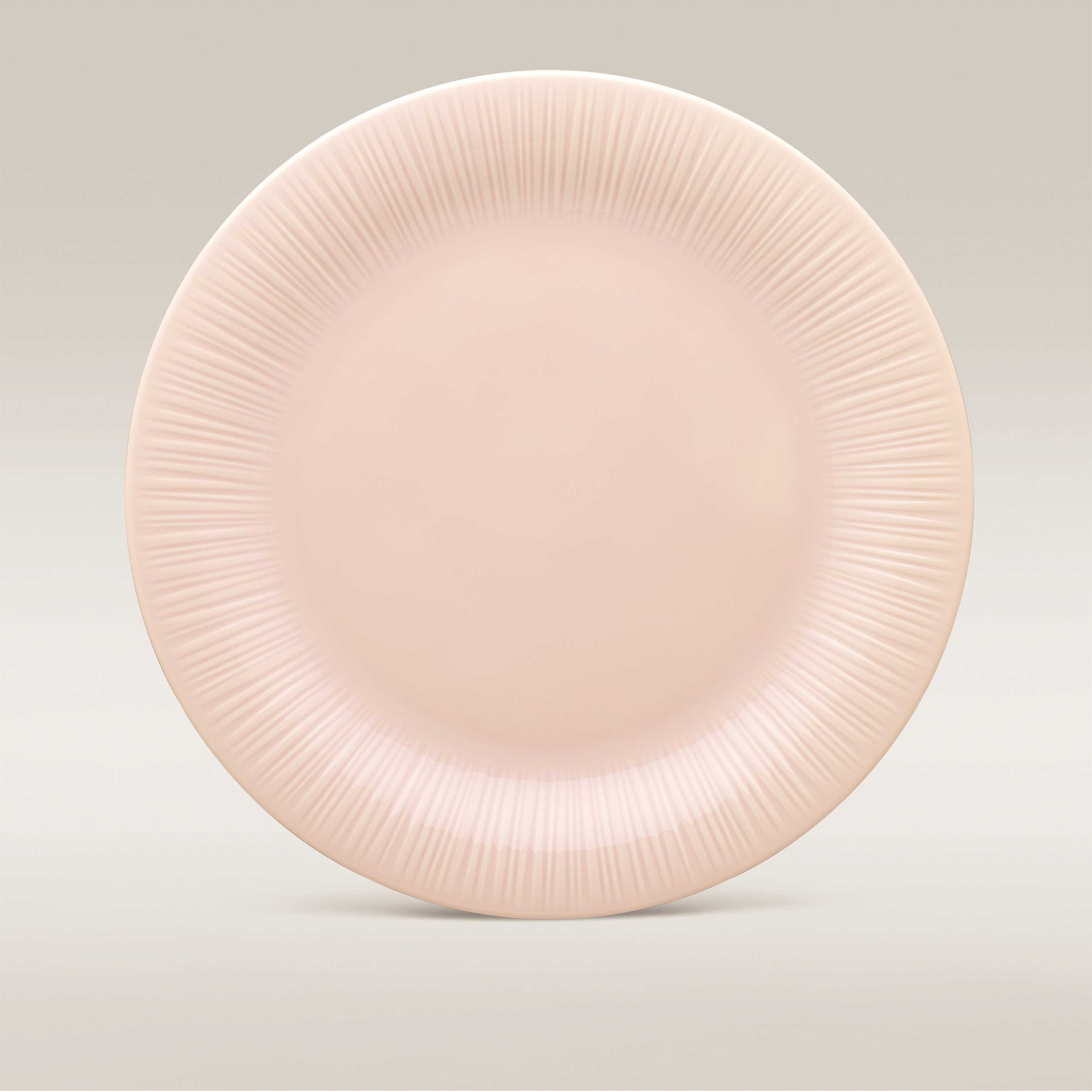 DINNER PLATE 27.5CM