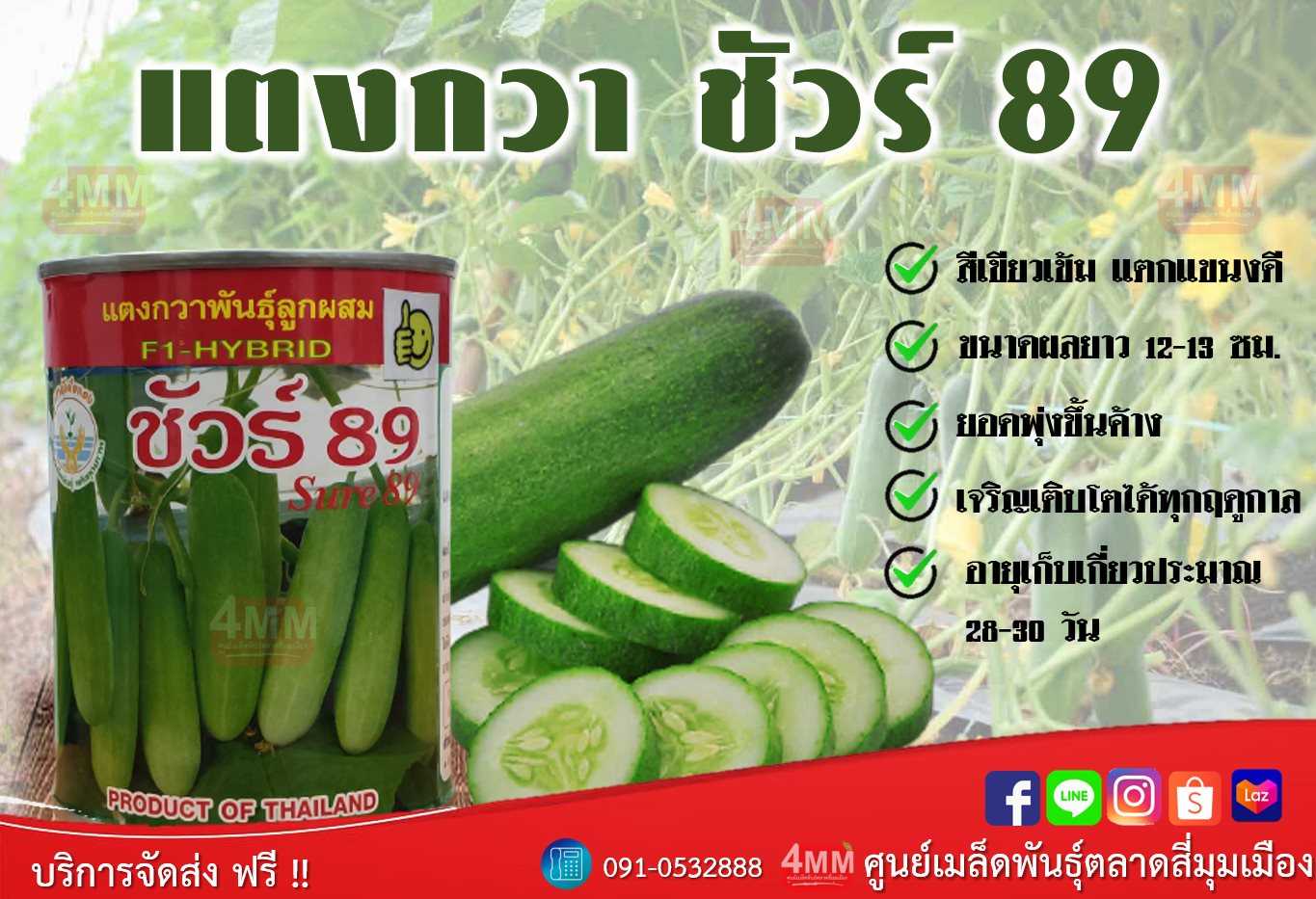 แตงกวา ชัวร์89 #เมล็ดพันธุ์