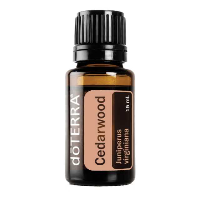 Cedarwood -  ซีดาร์วูด - 17 PV