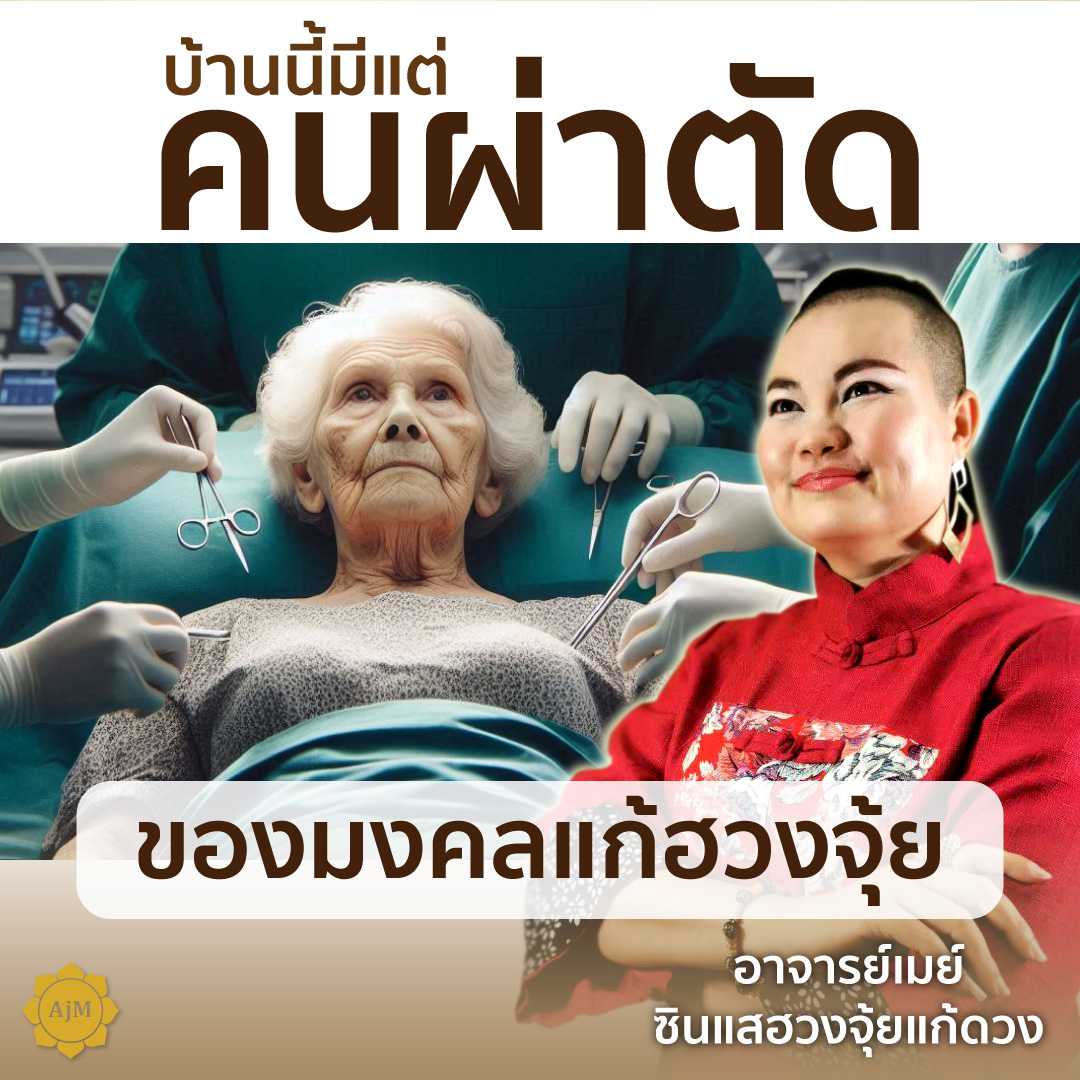 Ajanmay โมบายฮวงจุ้ย ของมงคล เสริมดวง สำหรับปัญหาบ้านที่มีแต่คนผ่าตัด (นกคุ้ม)