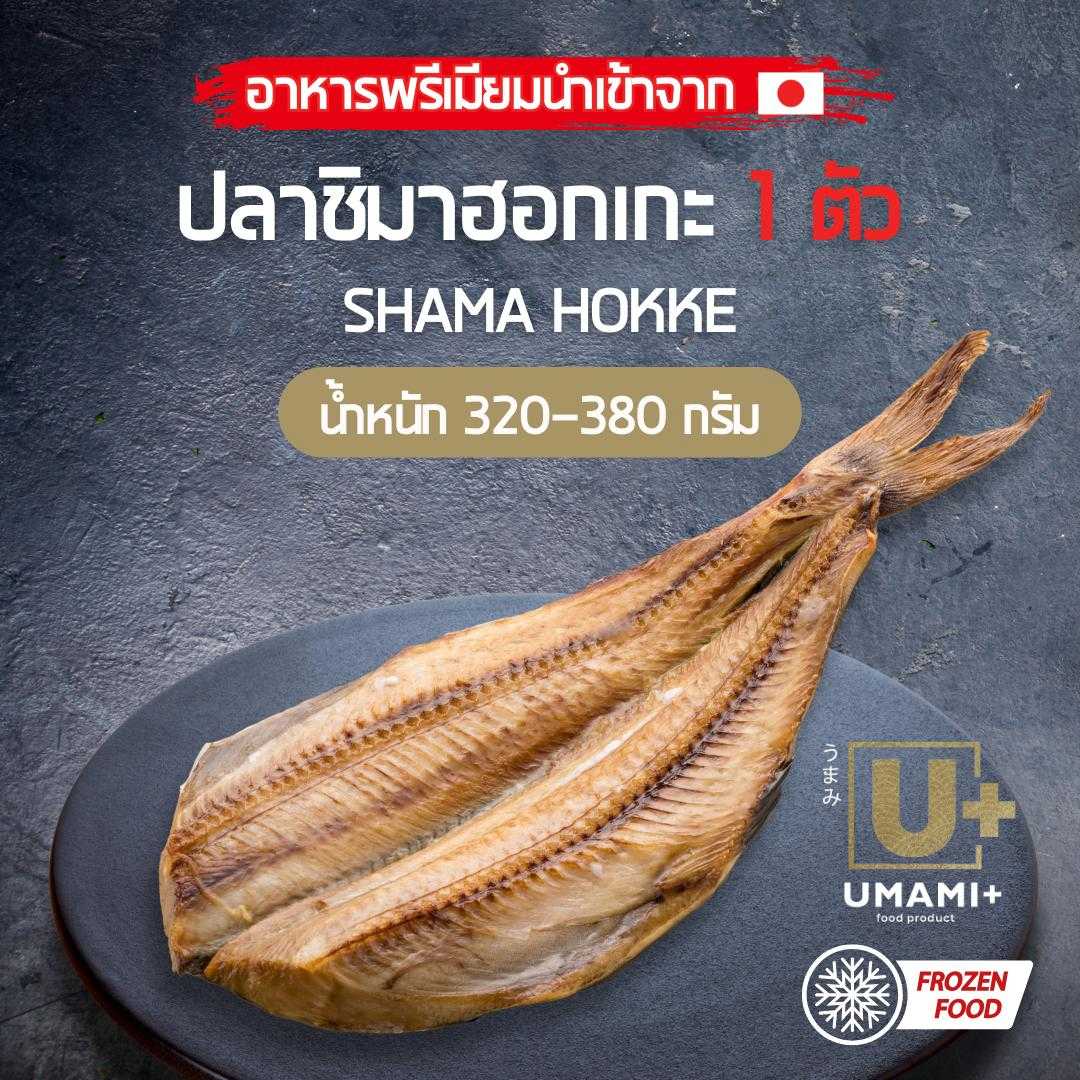 ปลาชิมาฮอกเกะ Shima Hokke - ปลาฮ็อกเกะ นำเข้าจากญี่ปุ่น