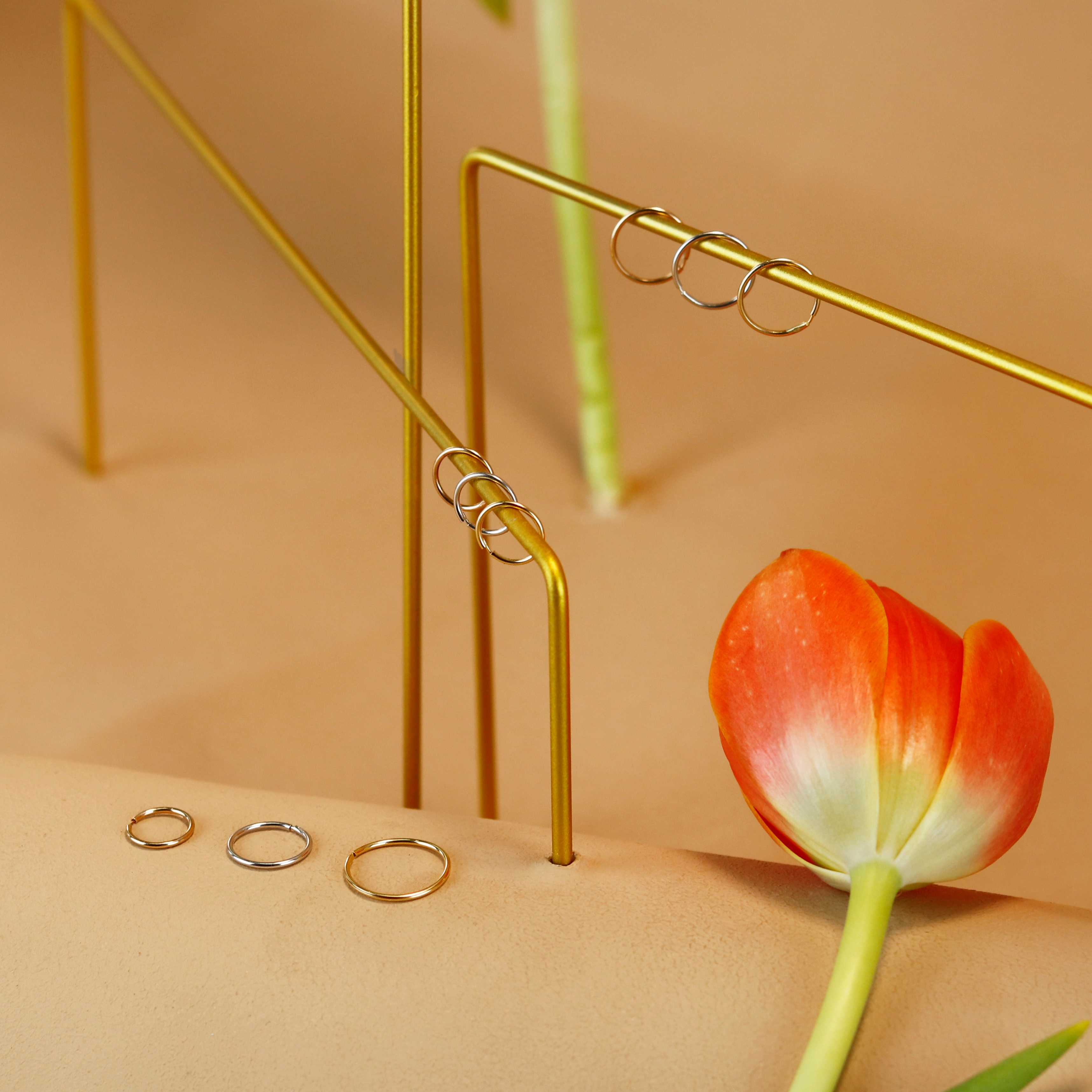 EARRINGS - Seamless hoop