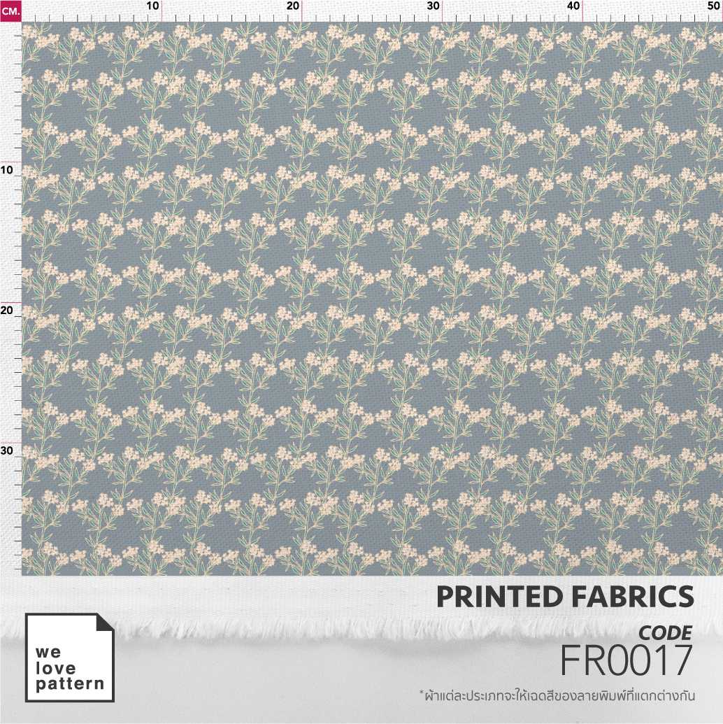 รหัสลาย : FR0017