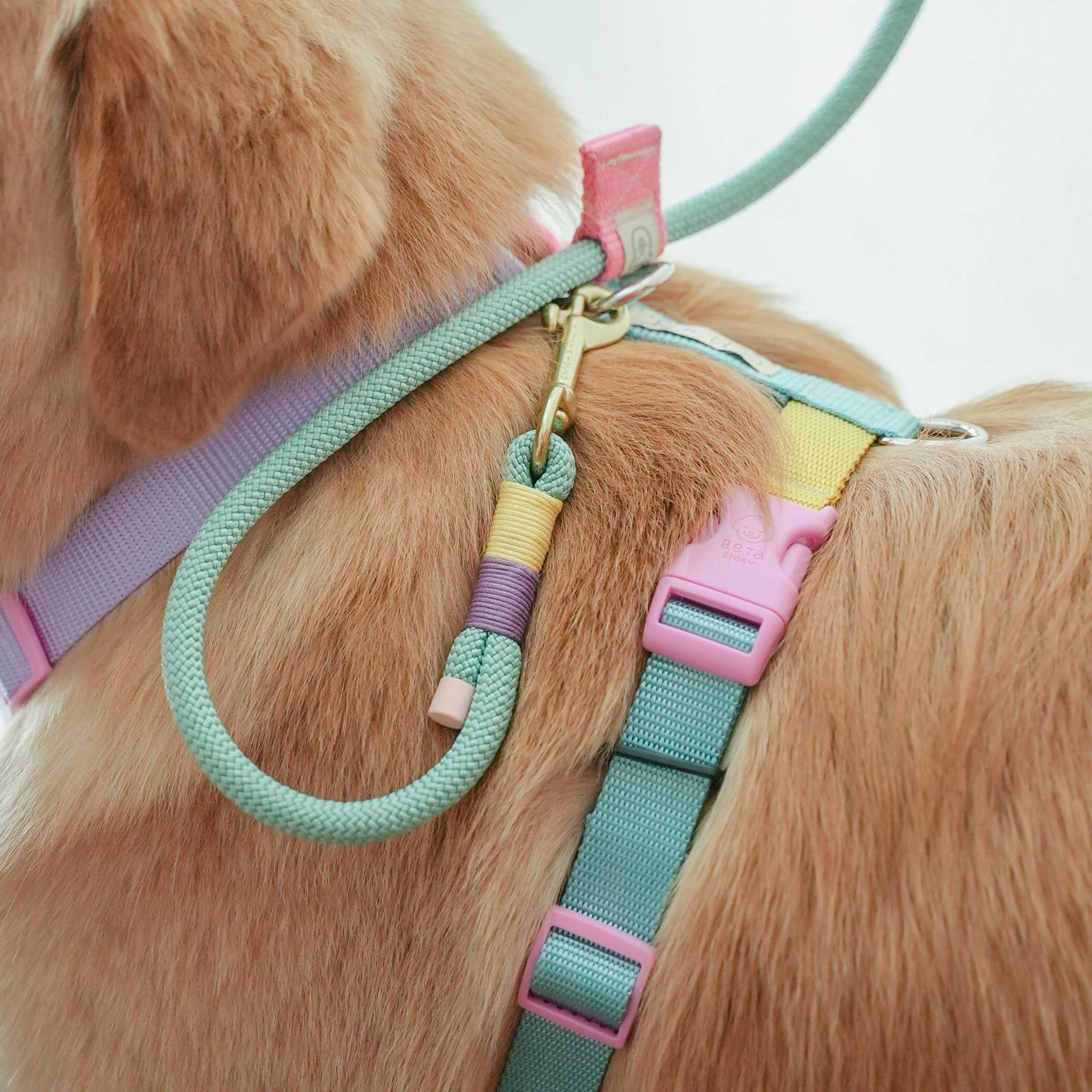 H&H x Gluta Story for Beta (Knot It) สายจูง Paracord