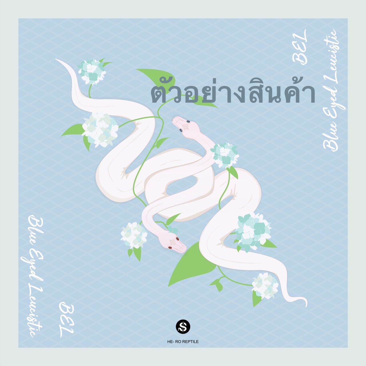 ผ้าคลุมไหล่