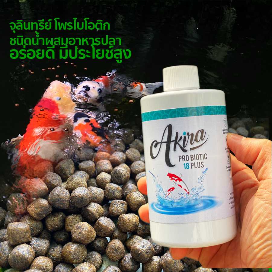 ✅ โปรไบโอติก 18 Puls บำรุงลำไส้ปลา 2 ขวด ราคาโปรพิเศษ! ส่งฟรี!