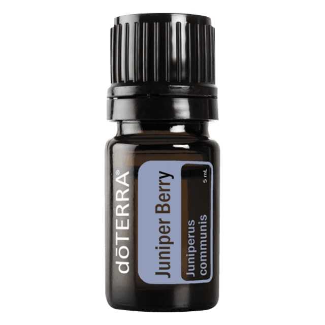Juniper Berry - จูนิเปอร์ เบอร์รี่ - 24 PV