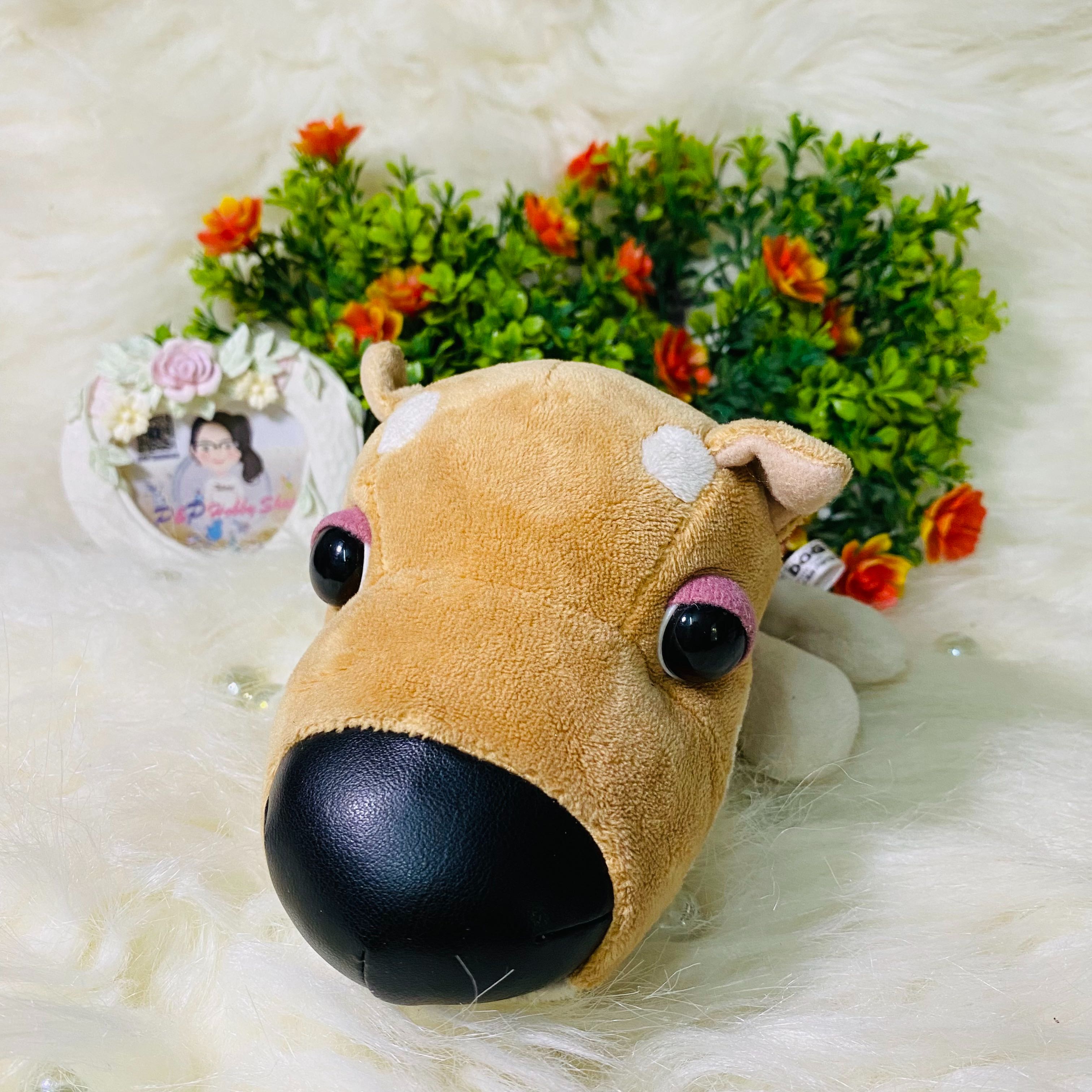 The Dog