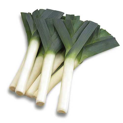 ต้นกระเทียมนอก 300g ผักปลอดภัย
