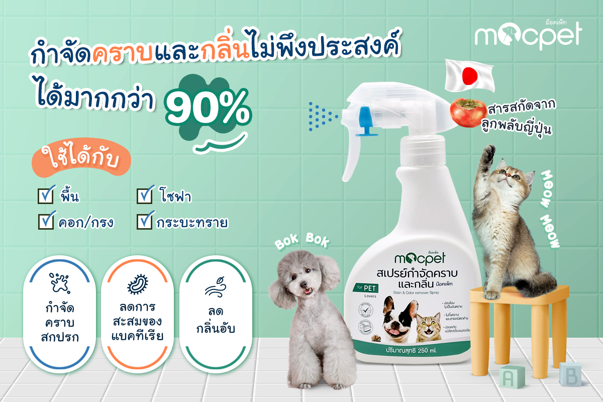 สเปรย์กำจัดคราบ และกลิ่นสำหรับสัตว์เลี้ยง 