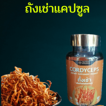 ถังเช่า แคปซูล