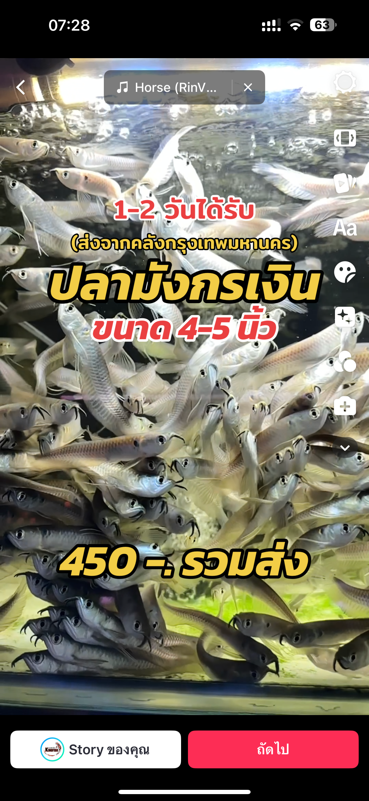 ปลามังกรเงิน ขนาด 4-5 นิ้ว (ส่งจากคลังกทม)