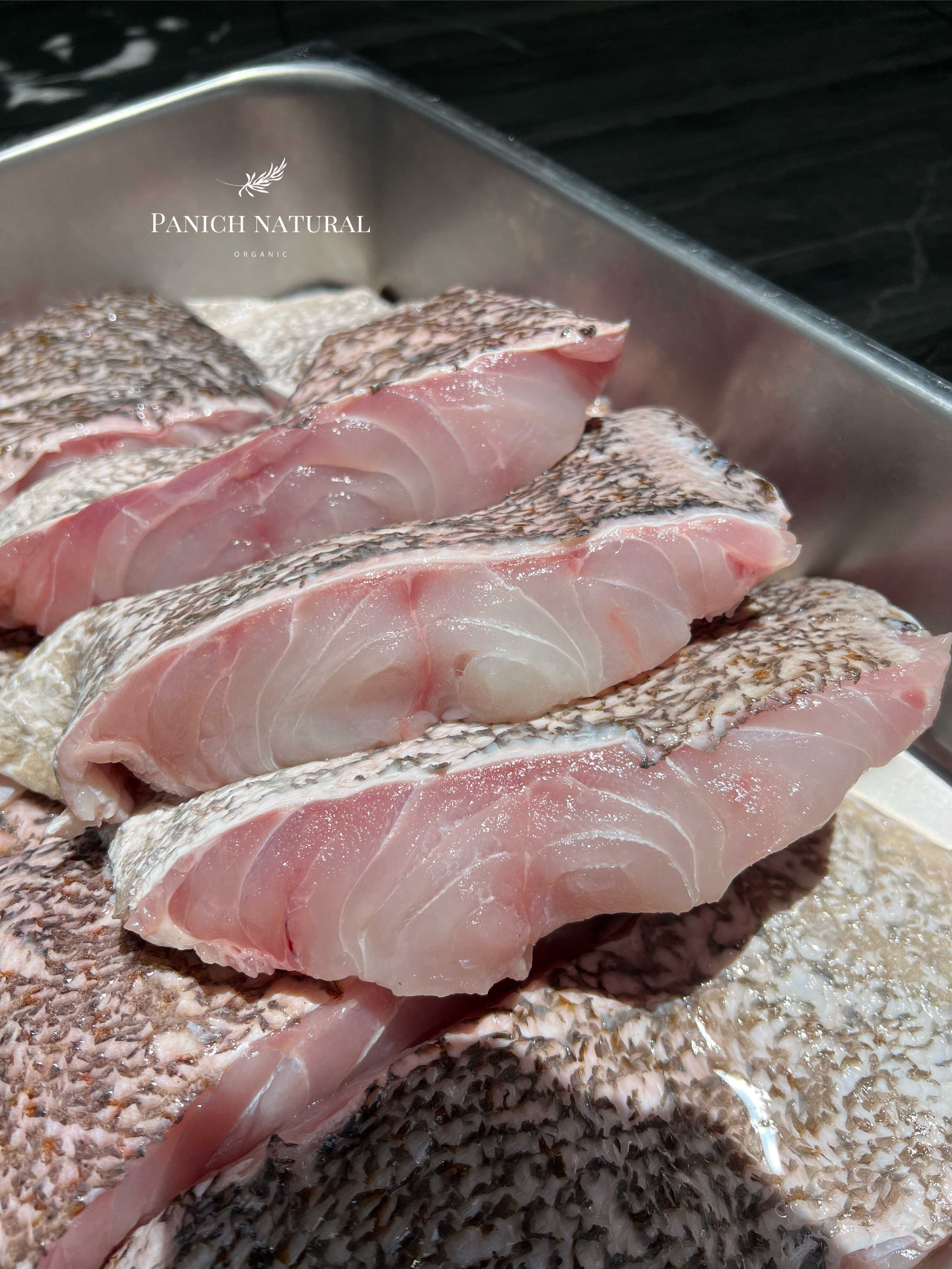 ปลาเก๋าทะเล แล่ Fillet หนา 1 ชิ้น/แพค