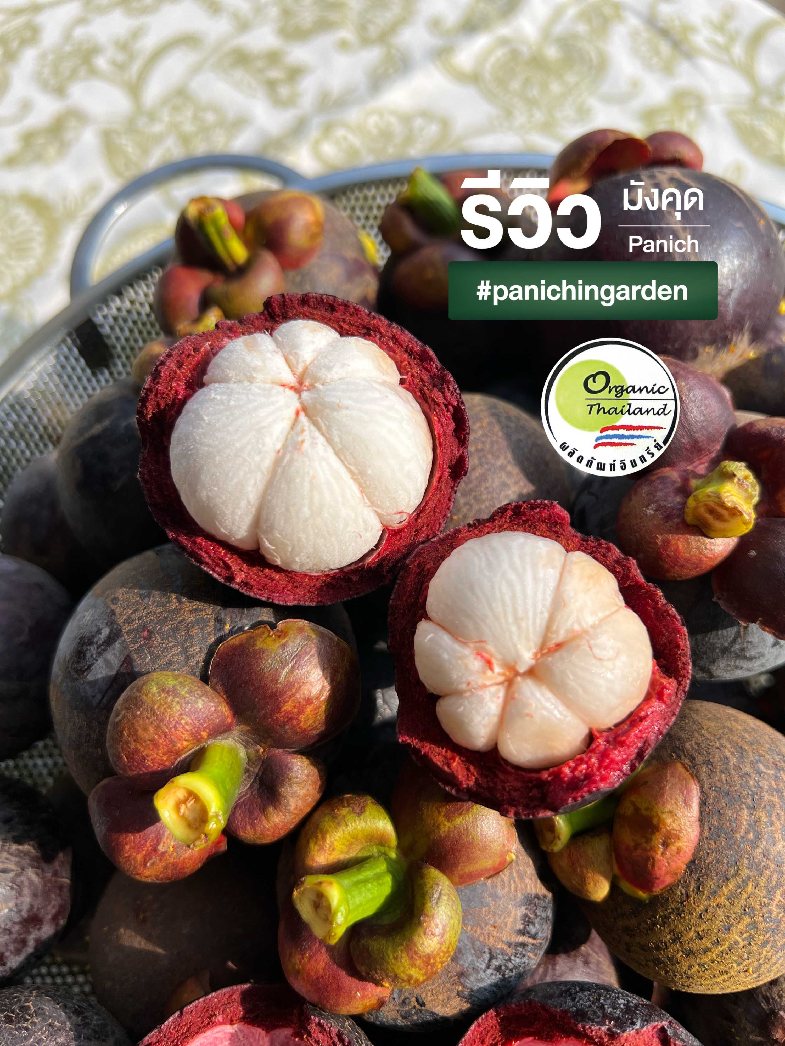 มังคุด Organics 100% (5kg./กล่อง)