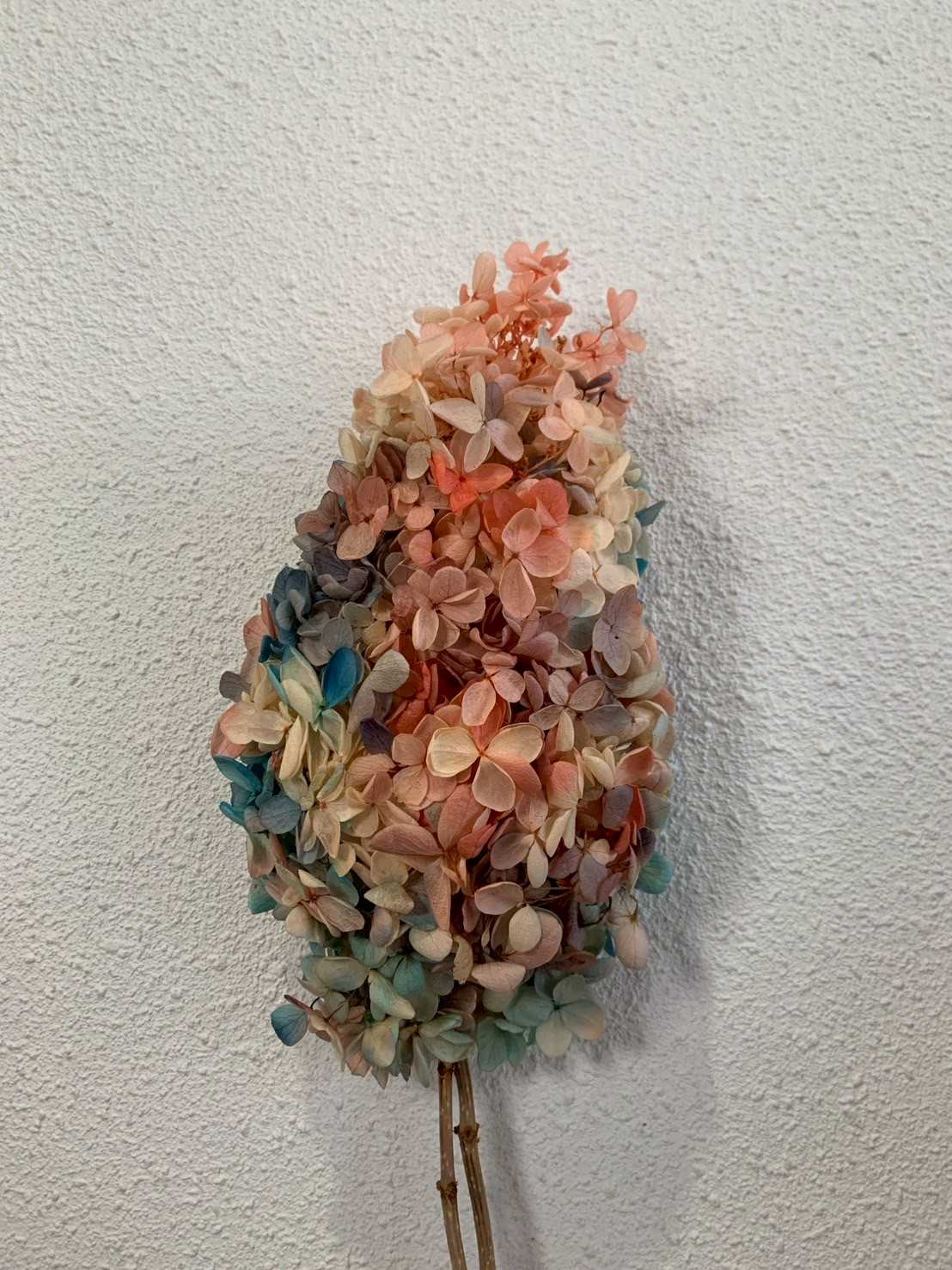 ไฮเดรนเยียทาวเวอร์ - สีผสม