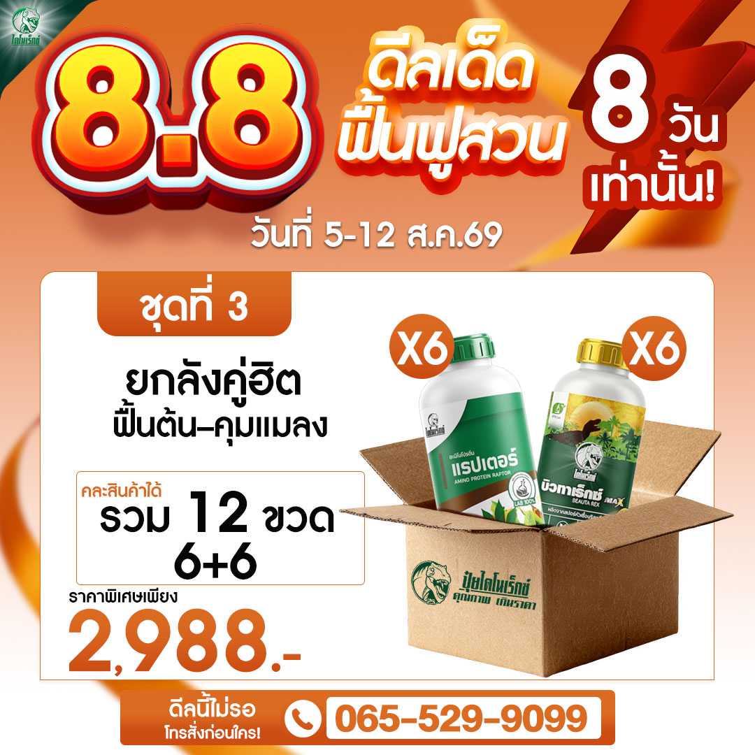โปร 8.8 ชุดที่ 3
