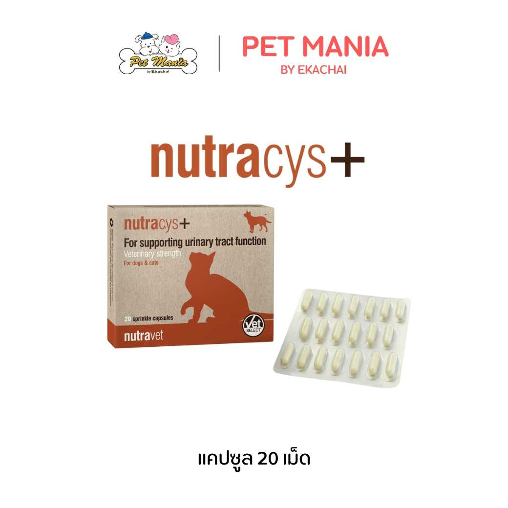 Nutracys+  20 capsules/box