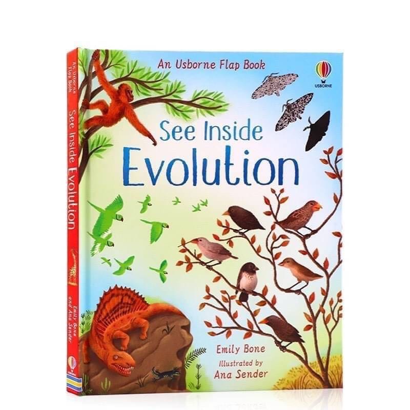 หนังสือบอร์ดบุ๊คสำหรับเด็ก An Usborne Flap Book See Inside Evolution