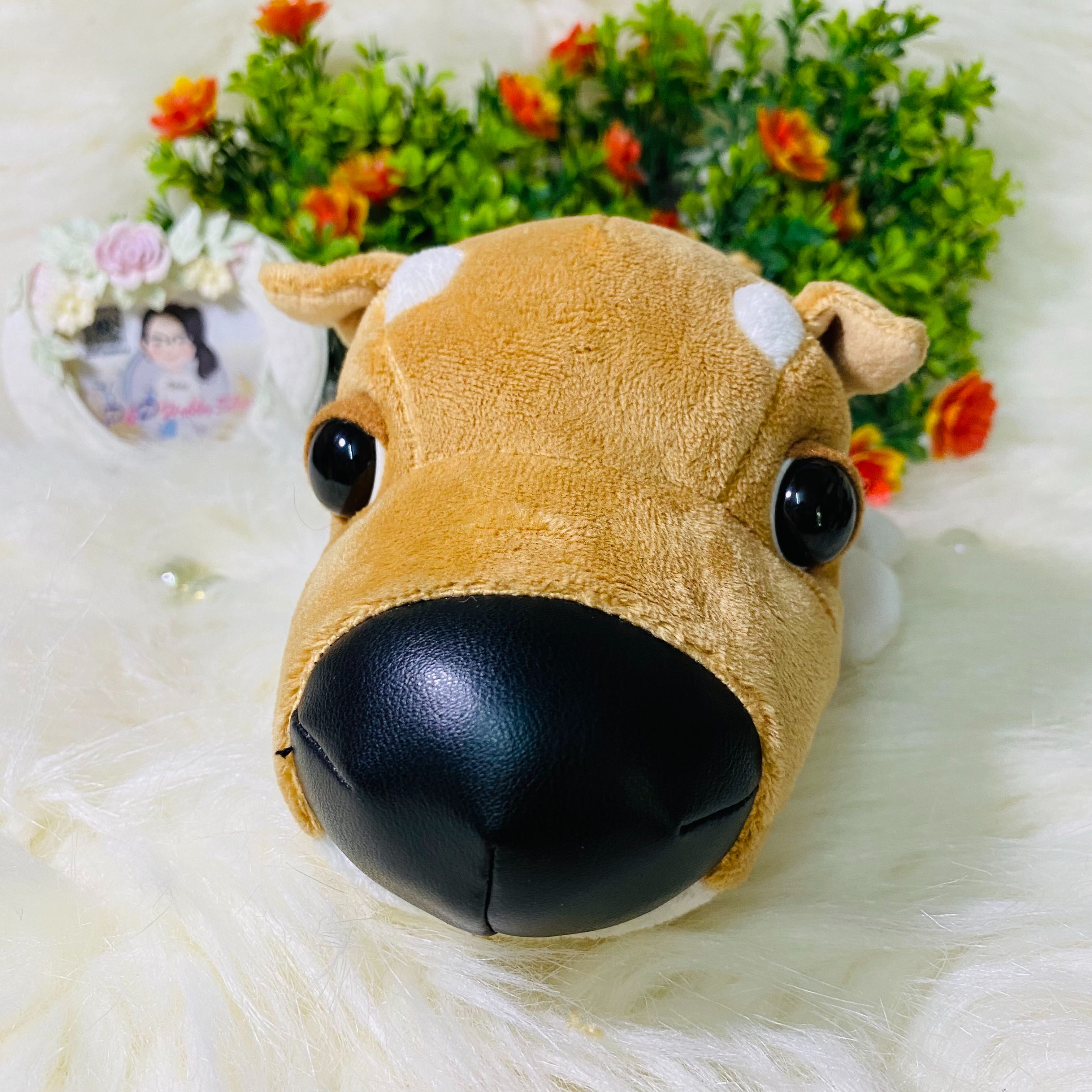 The Dog