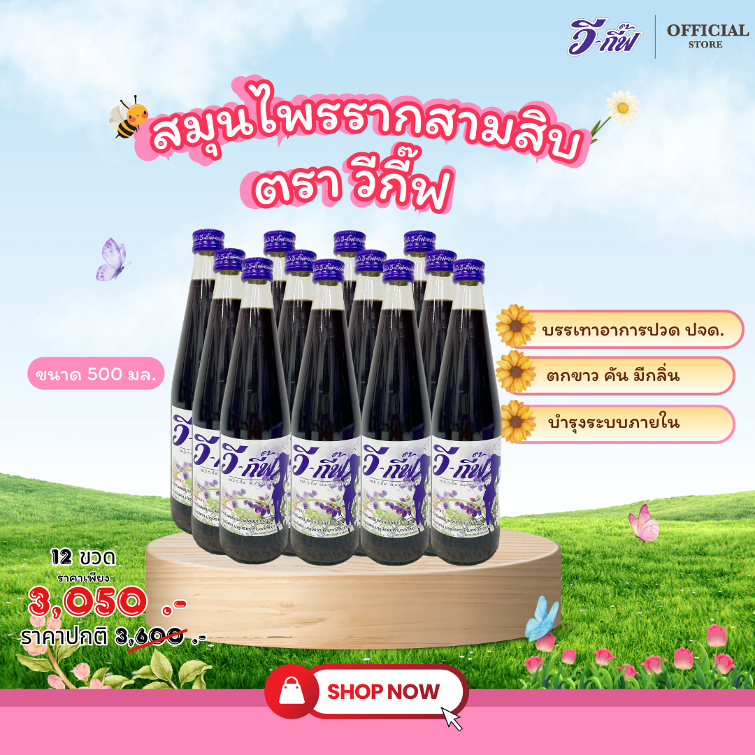 วี-กี๊ฟ สมุนไพรรากสามสิบ (ชนิดน้ำ)  12 ขวด