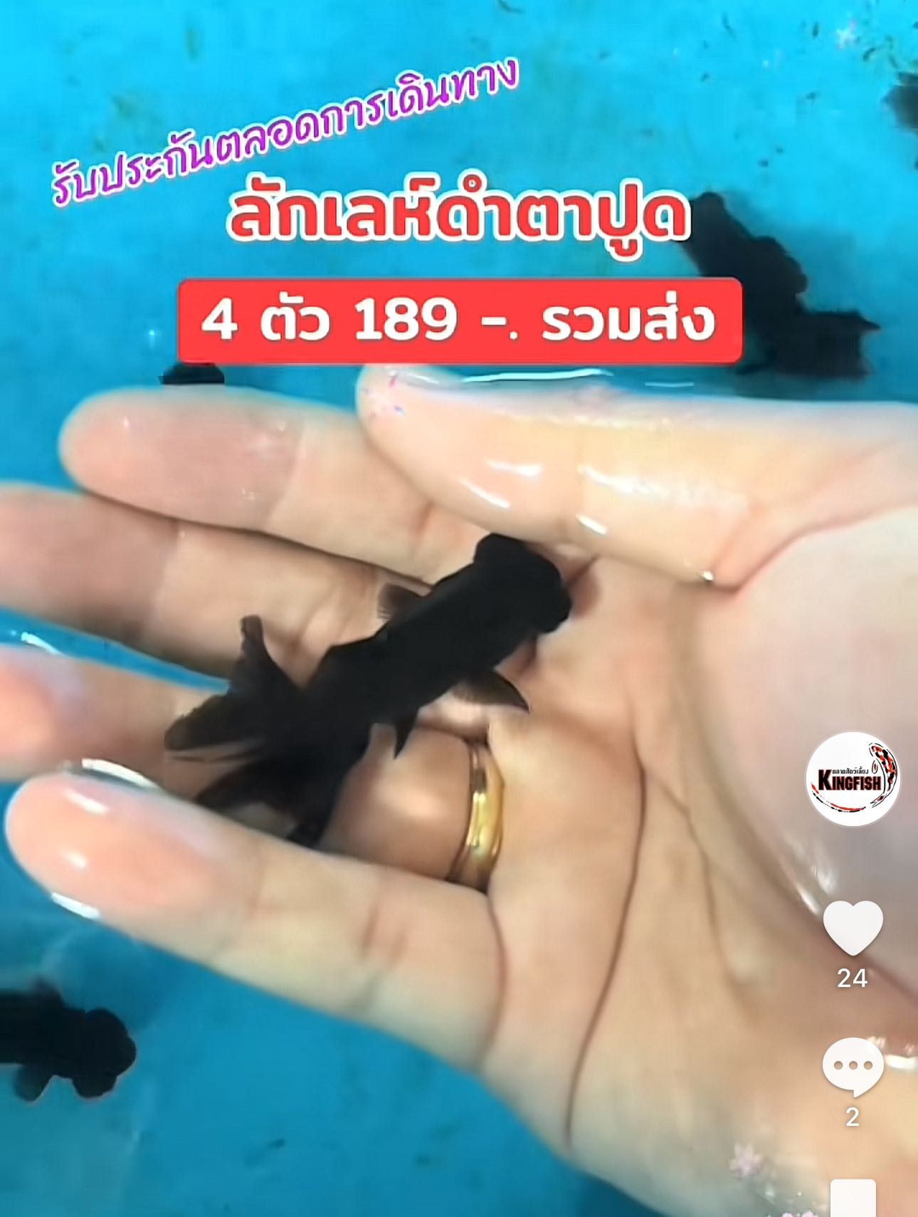 พร้อมส่ง ปลาลักเลห์ดำตาปูด ชุด 4 ตัว 189 ขนาด 1.5-2 นิ้ว จัดส่งอย่างดี มีรับประกัน