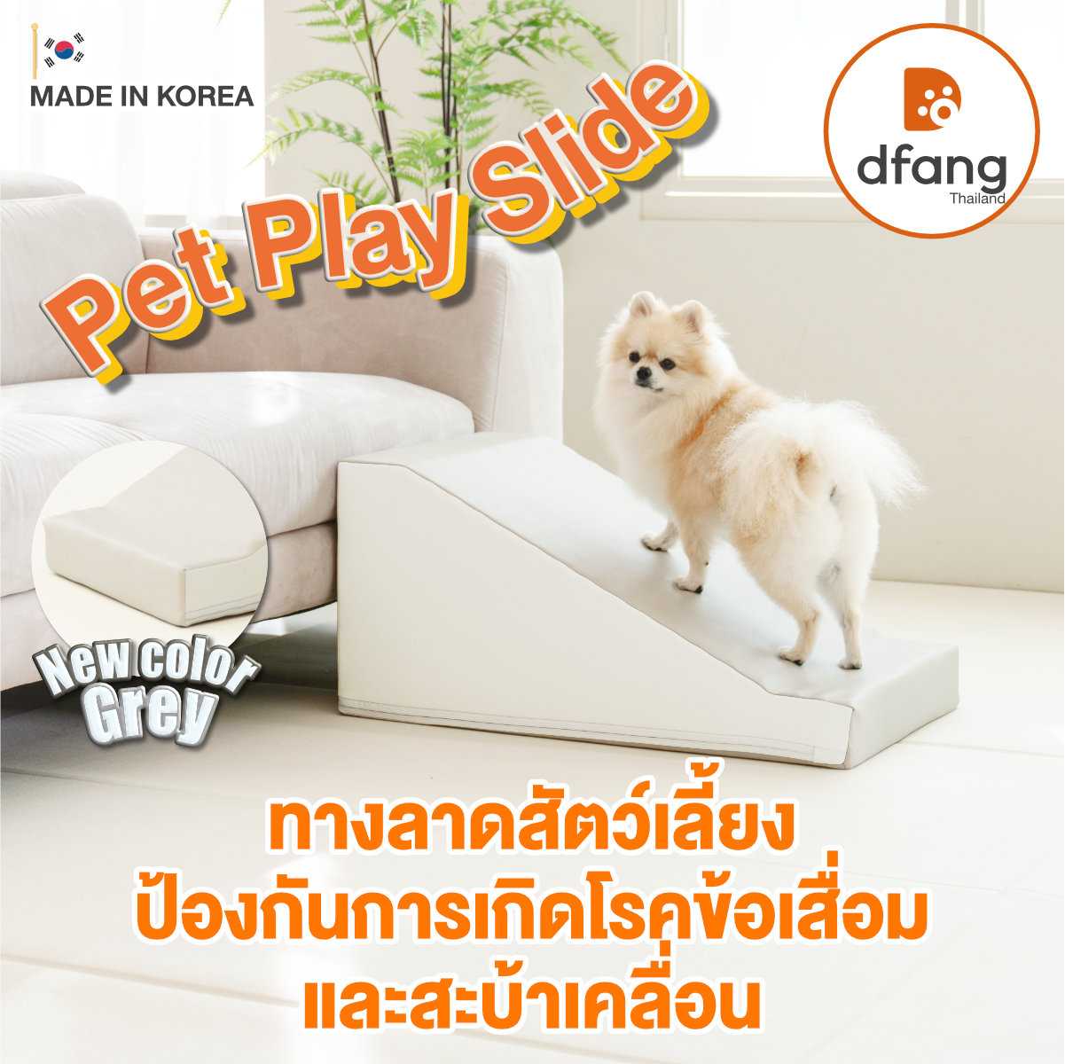 Dfang - Pet Play Slide ทางลาดสุนัข-แมว ทางลาดสัตว์เลี้ยง มี 2 ขนาด | 29G