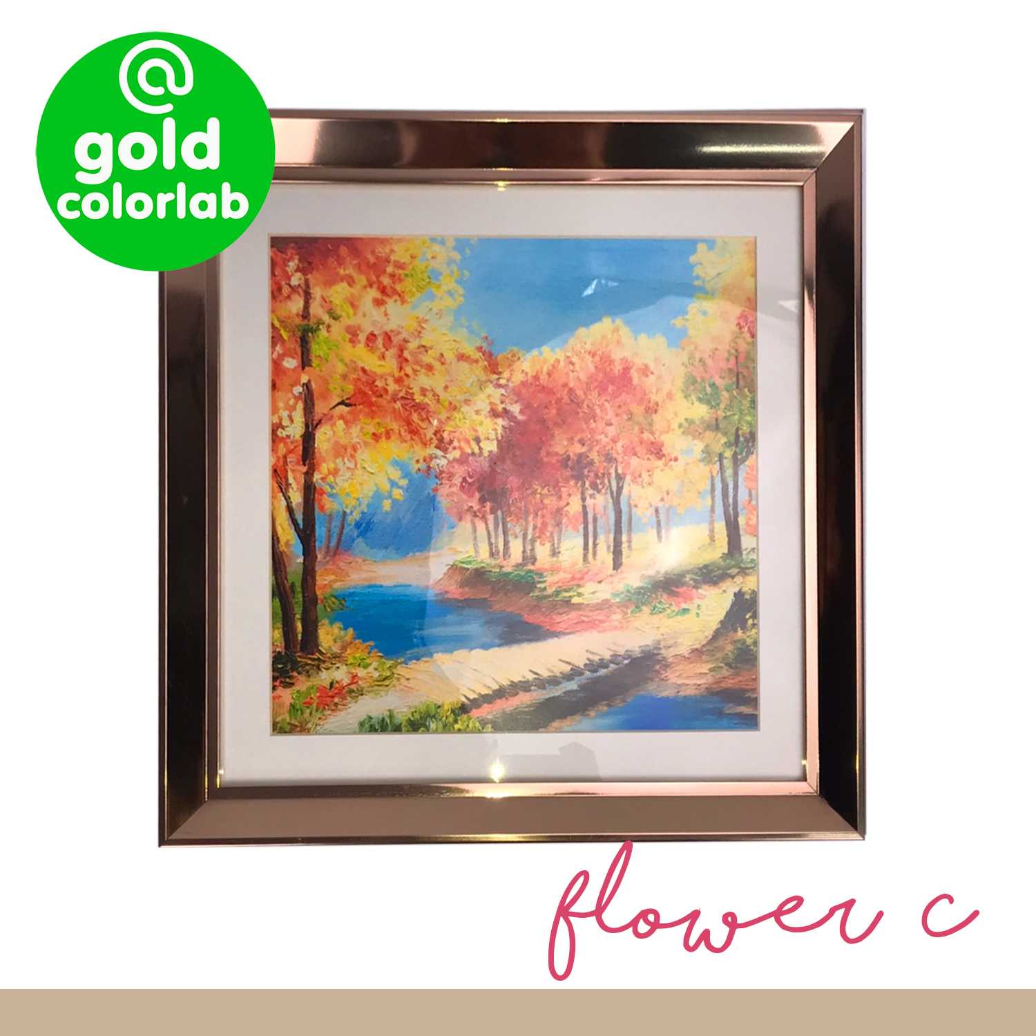 ภาพวาดวิว ดอกไม้ C ขนาด 50x48 cm พร้อมกรอบรูปสี Rose Gold  / Flower A decoration frame