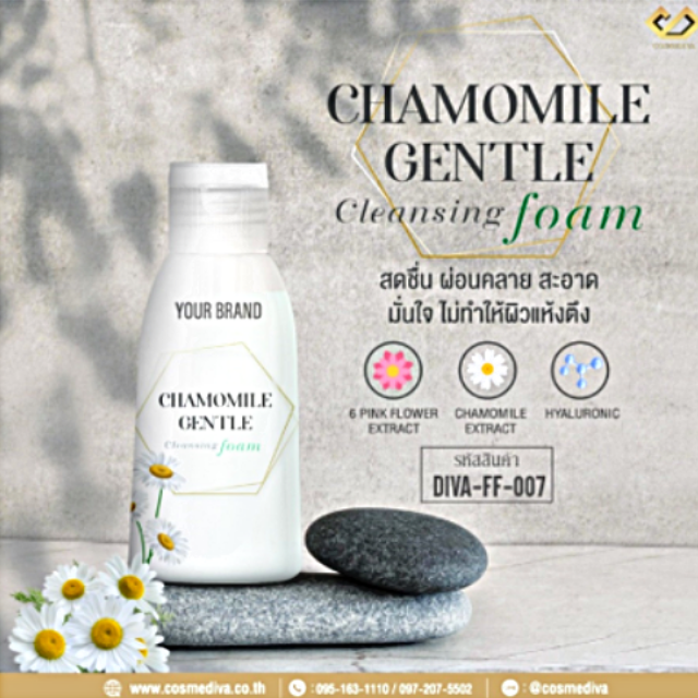 DIVA-FF-007 CHAMOMILE GENTLE CLEANSING FOAM