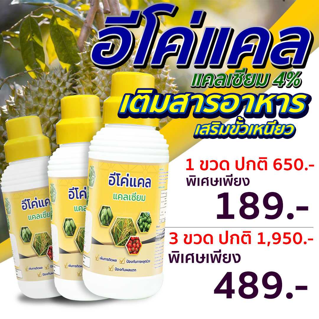 อีโค่แคล