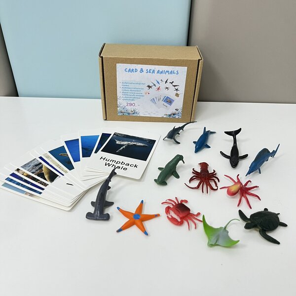 Card & sea animals (จับคู่สัตว์กับการ์ดภาพ) โมเดลสัตว์จำลอง