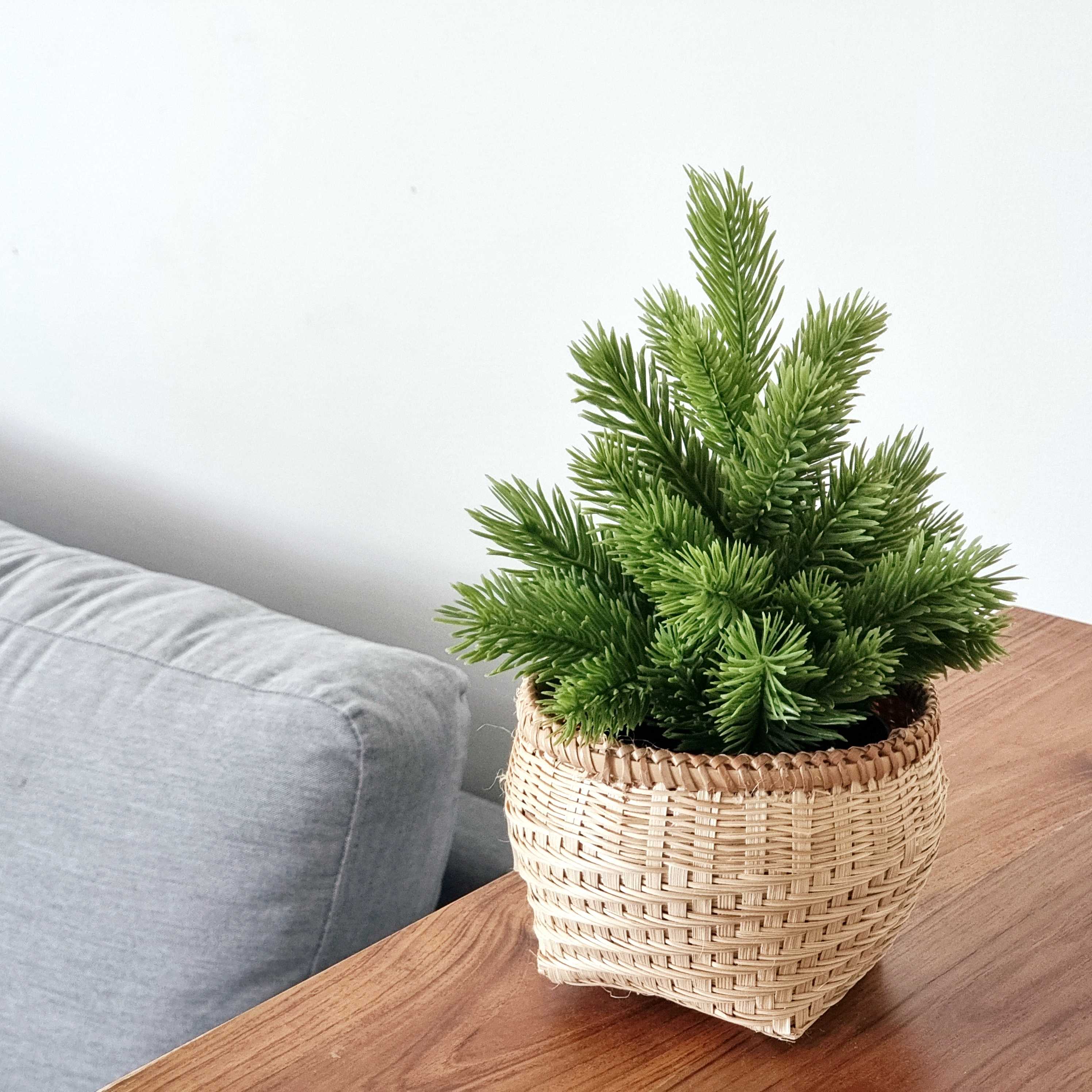 Artificial Pine Tree: ต้นสนประดิษฐิ์กระถางสานไซส์กลาง