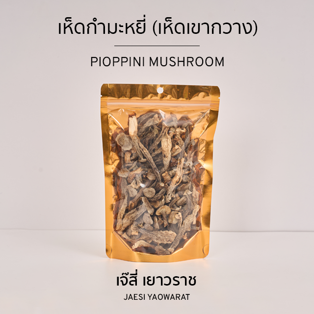 เห็ดกำมะหยี่ | Pioppini Mushroom
