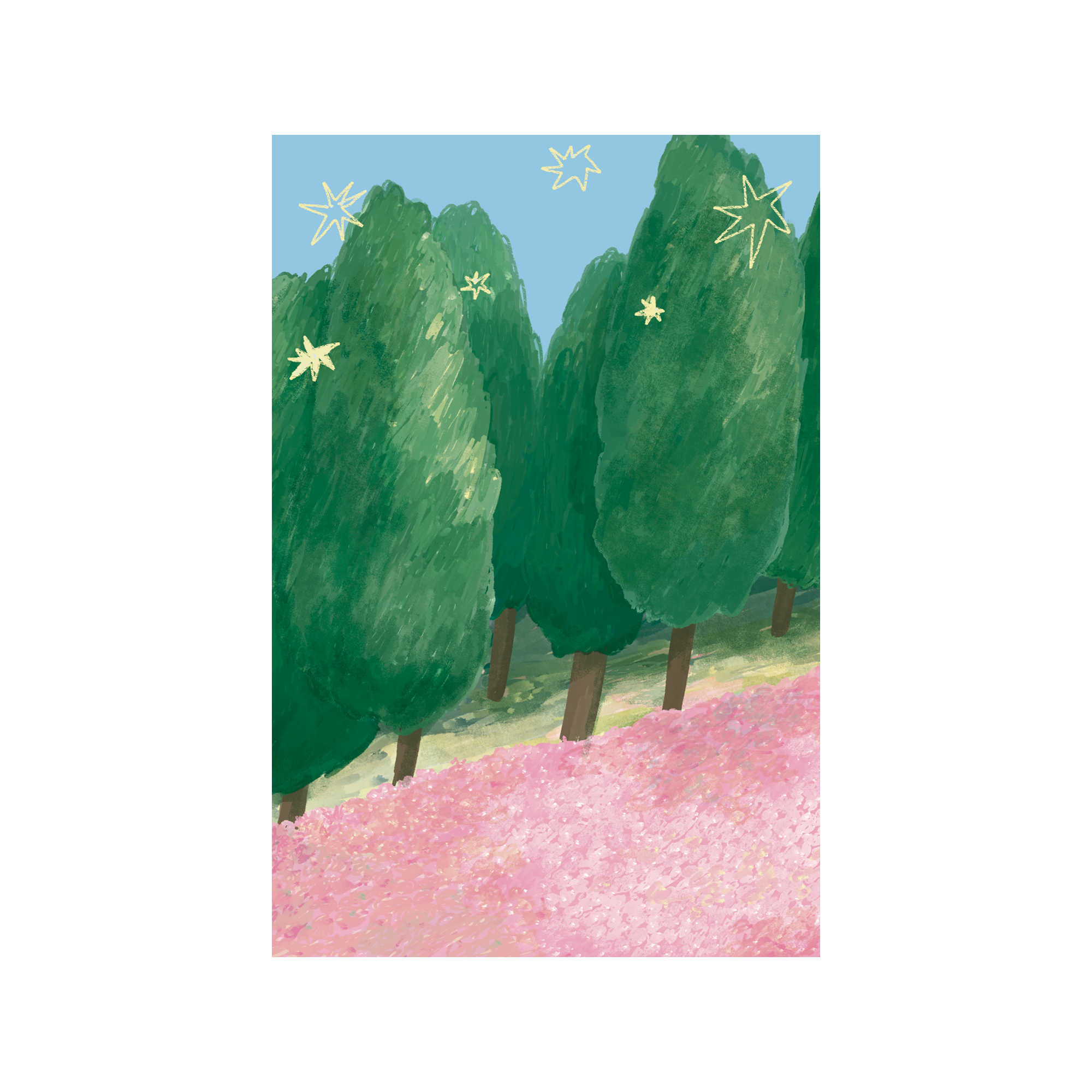 Postcard in to the wild
