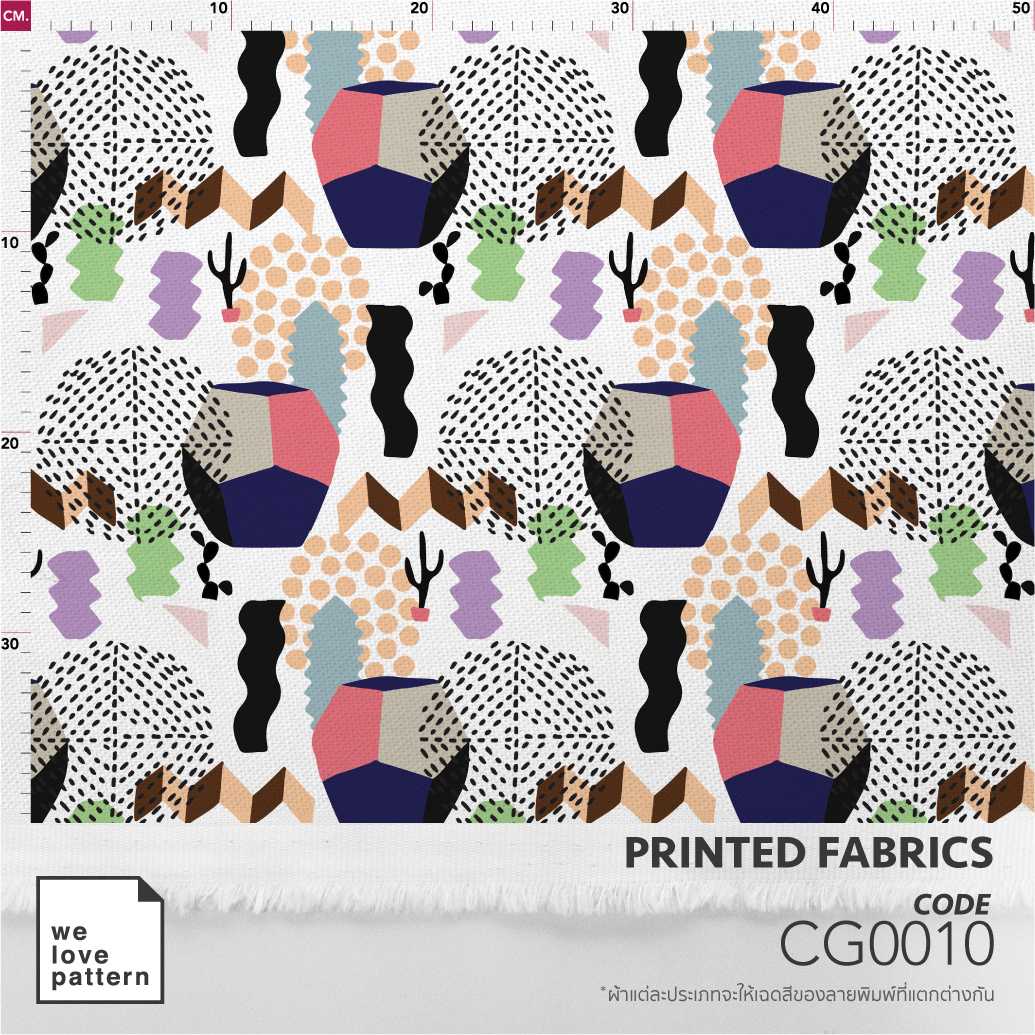 รหัสลาย :  CG0010