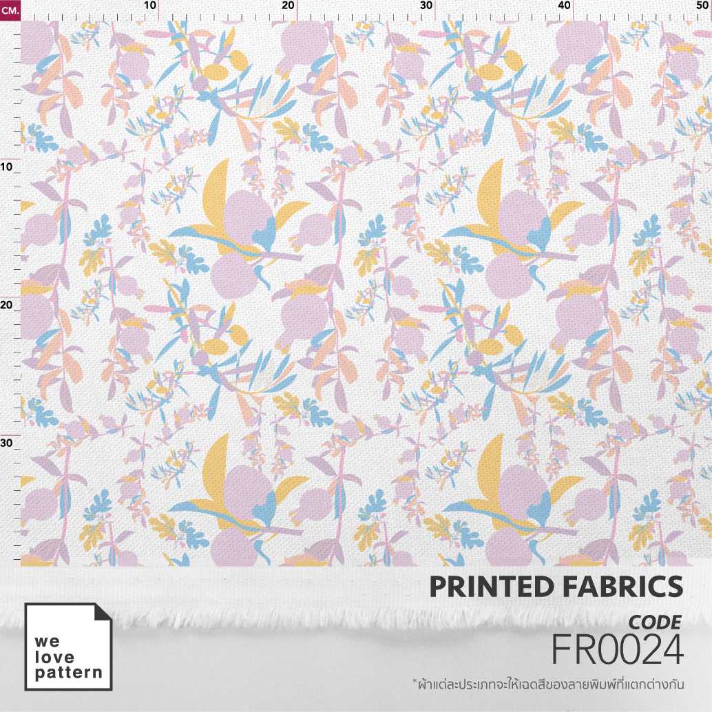 รหัสลาย : FR0024