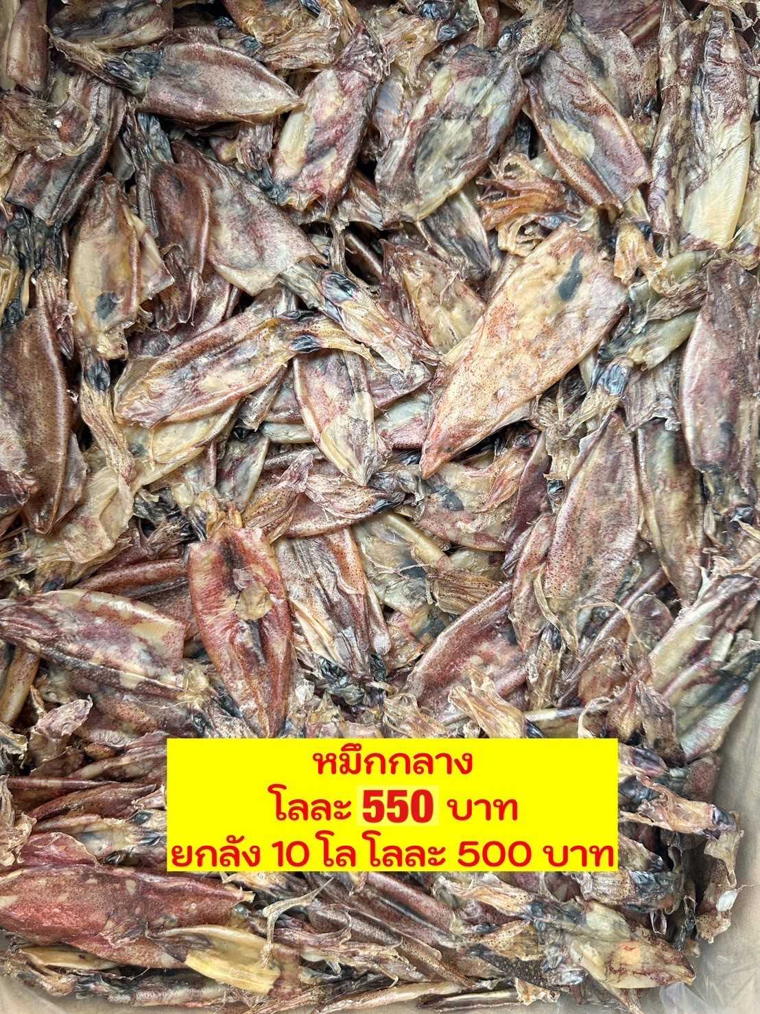 หมึกกลางขาว500กรัม
