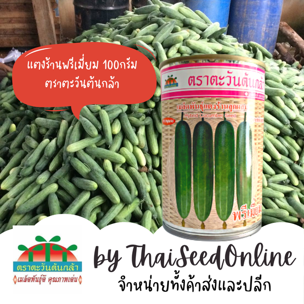 ADV กป 100กรัม เมล็ดพันธุ์แตงร้านพรีเมี่ยม 100 กรัม ตราตะวันต้นกล้า Cucumber F1