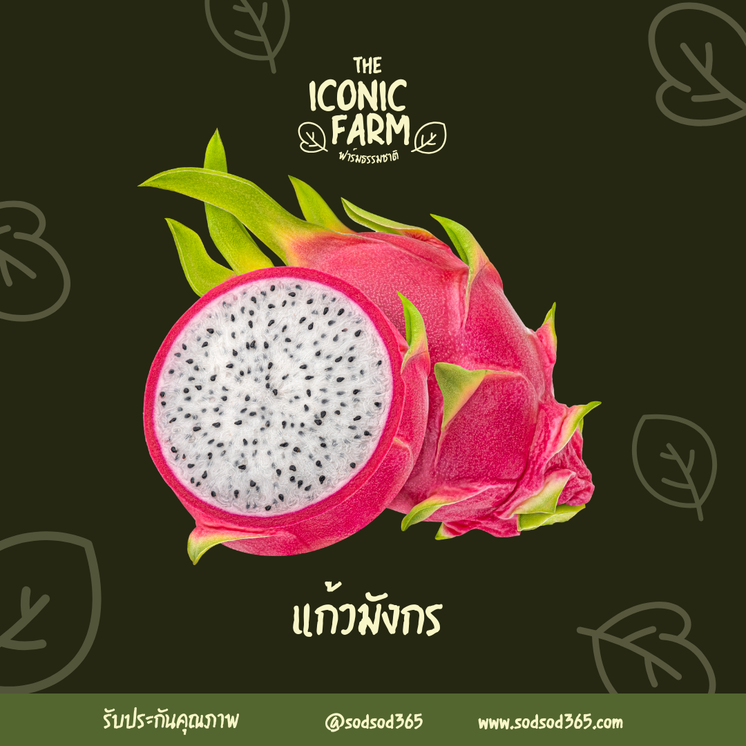 แก้วมังกร 1000g ลดไขมันในเลือด