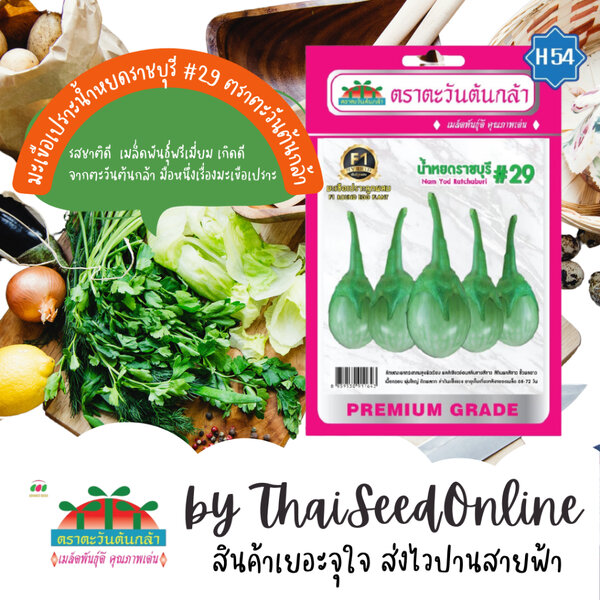 Advance Seeds(ตราตะวันต้นกล้า) ADVF1 ซฟ เมล็ดพันธุ์ มะเขือเปราะ น้ำหยดราชบุรี #29 ตราตะวันต้นกล้า...