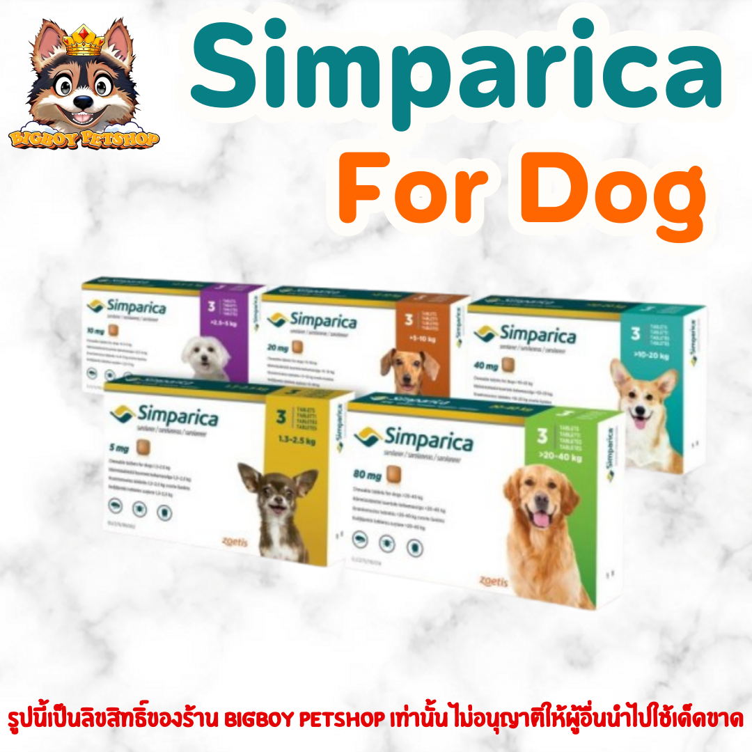 Simparica dog ชนิดเม็ด สำหรับสุนัข ทุกขนาด 1 กล่อง 3 เม็ด