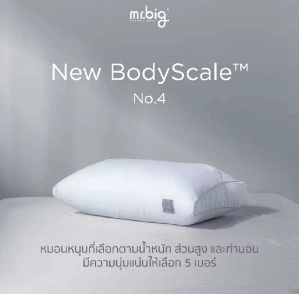mr.big New BodyScale Pillow No.4 : หมอนหนุนเลือกตามน้ำหนักส่วนสูงท่านอน